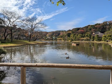 三溪園に投稿された画像（2022/12/5）