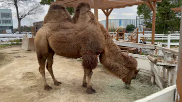 神戸どうぶつ王国に投稿された画像（2022/12/5）