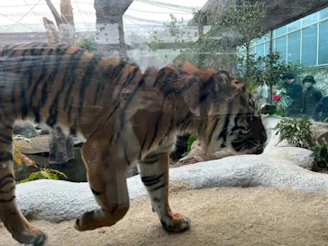 神戸どうぶつ王国に投稿された画像（2022/12/5）