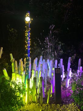 ムーミンバレーパークに投稿された画像（2022/12/5）