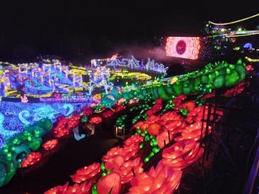 伊豆ぐらんぱる公園に投稿された画像（2022/12/5）
