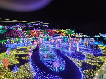 伊豆ぐらんぱる公園に投稿された画像（2022/12/5）