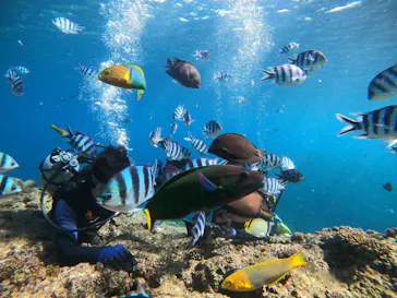 武藤潜水に投稿された画像（2022/11/29）