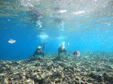 武藤潜水に投稿された画像（2022/11/29）