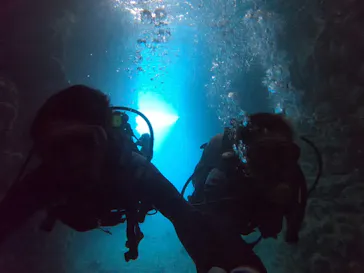 武藤潜水に投稿された画像（2022/11/29）