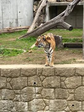 天王寺動物園に投稿された画像（2022/12/5）