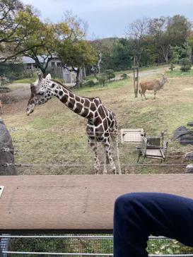 天王寺動物園に投稿された画像（2022/12/5）