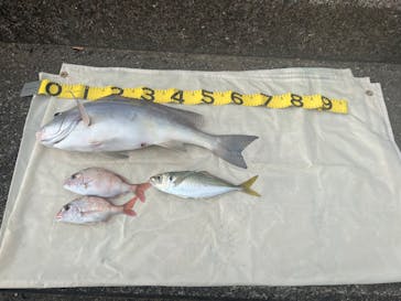 ラフネに投稿された画像（2022/12/5）