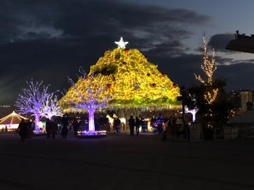 東京メガイルミに投稿された画像（2022/12/5）