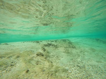 沖縄マリンサービス碧に投稿された画像（2022/12/5）