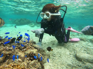 沖縄マリンサービス碧に投稿された画像（2022/12/5）