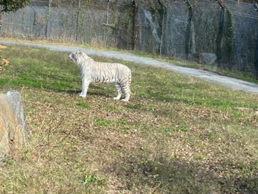 姫路セントラルパークに投稿された画像（2022/12/5）