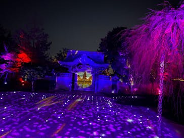 京都着物レンタルきらりに投稿された画像（2022/12/5）