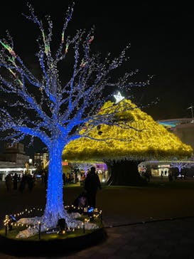 東京メガイルミに投稿された画像（2022/12/5）