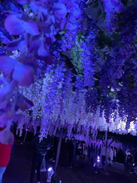 東京メガイルミに投稿された画像（2022/12/5）