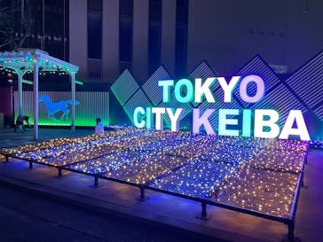 東京メガイルミに投稿された画像（2022/12/5）