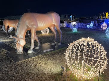 東京メガイルミに投稿された画像（2022/12/5）