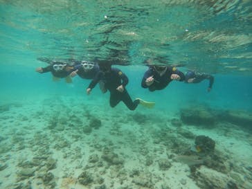 沖縄マリンサービス碧に投稿された画像（2022/12/5）