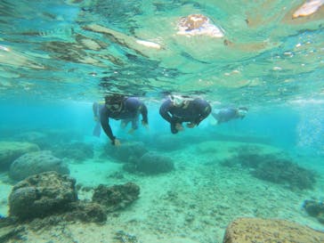 沖縄マリンサービス碧に投稿された画像（2022/12/5）