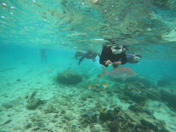 沖縄マリンサービス碧に投稿された画像（2022/12/5）