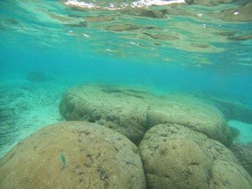 沖縄マリンサービス碧に投稿された画像（2022/12/5）