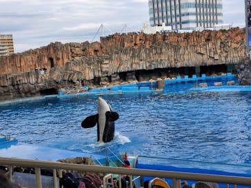 名古屋港水族館に投稿された画像（2022/12/5）