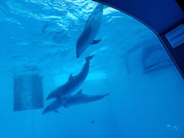 名古屋港水族館に投稿された画像（2022/12/5）