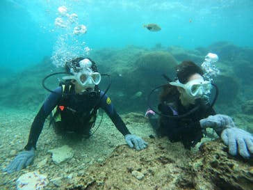 沖縄マリンサービス碧に投稿された画像（2022/12/5）