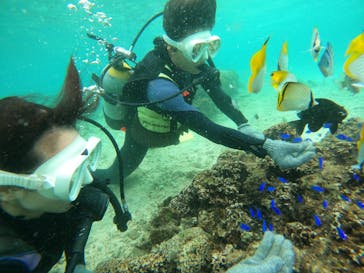 沖縄マリンサービス碧に投稿された画像（2022/12/5）