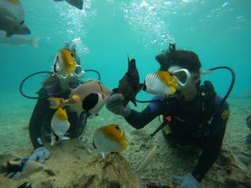 沖縄マリンサービス碧に投稿された画像（2022/12/5）