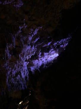 おきなわワールドに投稿された画像（2022/12/5）