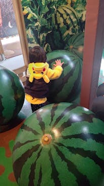 鈴鹿サーキットに投稿された画像（2022/12/5）