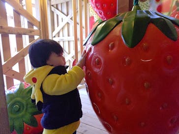 鈴鹿サーキットに投稿された画像（2022/12/5）