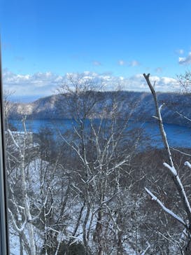 のぼりべつクマ牧場に投稿された画像（2022/12/5）