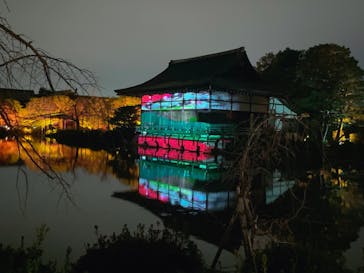 NAKEDヨルモウデ2022平安神宮に投稿された画像（2022/12/5）