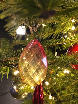 安城産業文化公園デンパークに投稿された画像（2022/12/5）