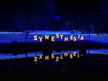 KYOTO ILLUMINATION SYNESTHESIA HILLS るり渓温泉に投稿された画像（2022/12/5）