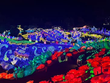 伊豆ぐらんぱる公園に投稿された画像（2022/12/5）