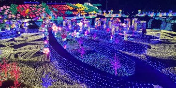 伊豆ぐらんぱる公園に投稿された画像（2022/12/5）