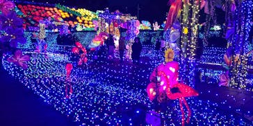 伊豆ぐらんぱる公園に投稿された画像（2022/12/5）