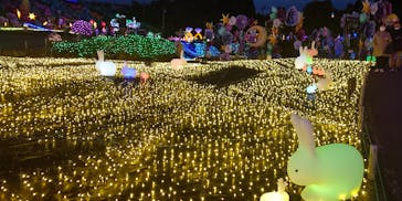 伊豆ぐらんぱる公園に投稿された画像（2022/12/5）