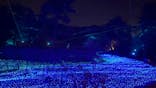 KYOTO ILLUMINATION SYNESTHESIA HILLS るり渓温泉に投稿された画像（2022/12/6）