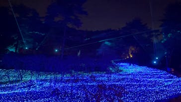 KYOTO ILLUMINATION SYNESTHESIA HILLS るり渓温泉に投稿された画像（2022/12/5）