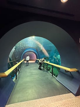 滋賀県立琵琶湖博物館に投稿された画像（2022/12/5）