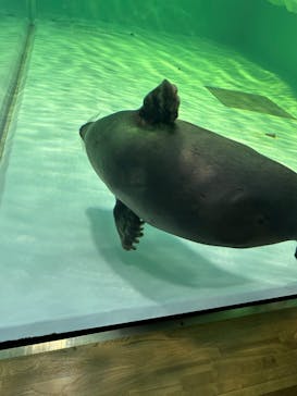 滋賀県立琵琶湖博物館に投稿された画像（2022/12/5）