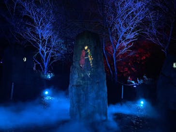 ニジゲンノモリに投稿された画像（2022/12/5）