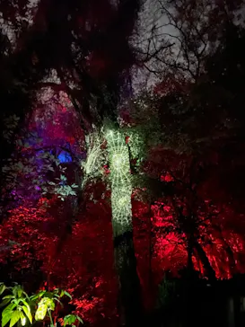 ニジゲンノモリに投稿された画像（2022/12/5）