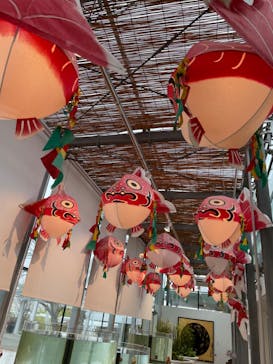 環境水族館アクアマリンふくしまに投稿された画像（2022/12/5）