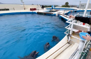 沖縄美ら海水族館に投稿された画像（2022/12/6）