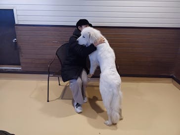 世界の名犬牧場に投稿された画像（2022/12/6）